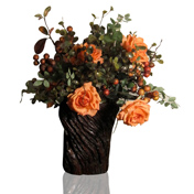 Tangerine Rose